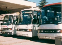 Tre pullman Setra affiancati